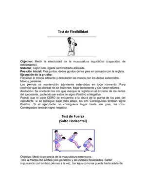 Test De Flexibilidad