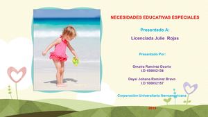 Necesidades Educativas Especiales