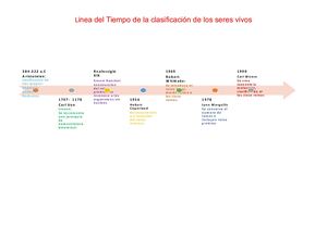 Línea Del Tiempo De La Clasificación De Los Seres Vivos