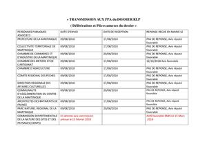 TABLEAU RECAP CONSULTATION PPA