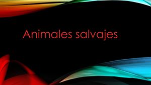 Animales Salvajes