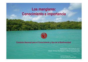Manglares General