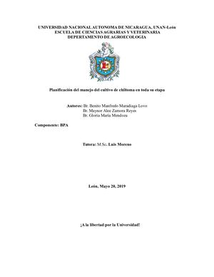 Guia Tecnica De Chiltomo