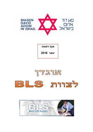 אוגדן לצוות בי אל אס 1