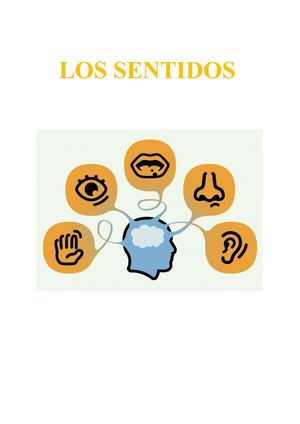 Los Sentidos Guía Pedagógica