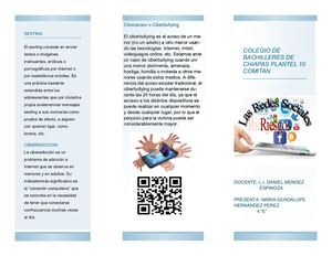 TRIPTICO DE RIESGOS DE LAS REDES SOCIALES