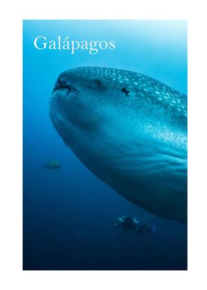 Valverde Lisbeth: Retícula Jerárquica