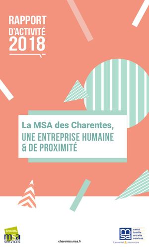 Rapport D'activité Msa 2018 Ok