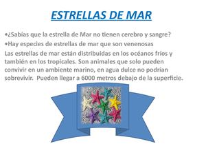 Estrellas De Mar