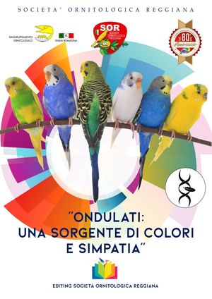 Fascicolo Ondulati Per Internet