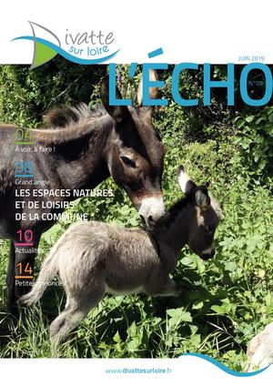 L Echo N9 Juin 19 Hd