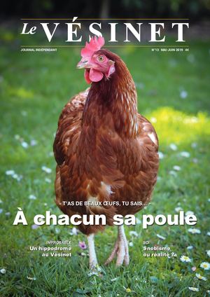 LE JOURNAL DU VÉSINET N°13 - mari-juin 2019