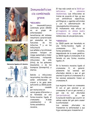 Inmunodeficiencia Combinada Grave