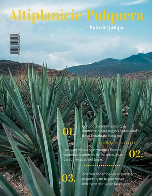 Altiplanicie Pulquera