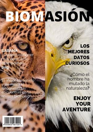 Copia De Bosque Azul