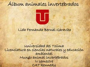 ÁLbum Animales Invertebrados