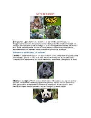 En Vía De Extinción