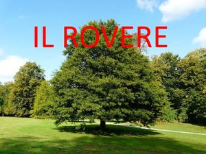IL ROVERE