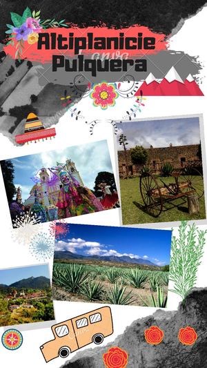 La Región Del Altiplano, También Conocida Como Antiplanicie Pulquera Está Integrada Por Los Municipios De Apan, Tepeapulco, Emiliano Zapata Y Una Porción De La Cuenca De México En Esta Región Se Encuentra Las Hacien