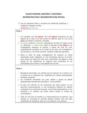 Taller Cohesión Anáforas Y Catáforas (1)