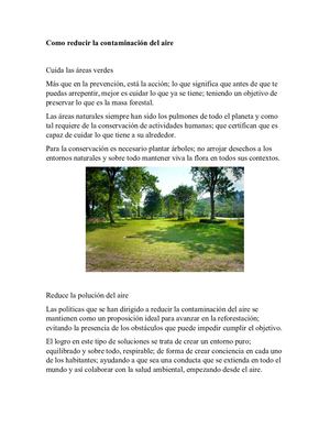 Como Reducir La Contaminación Del Aire