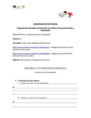 Test Inteligencia Emocional