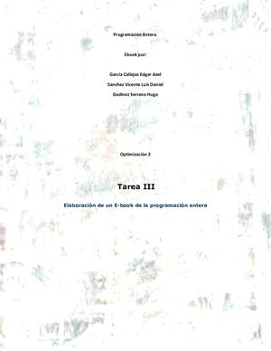 Programación Entera