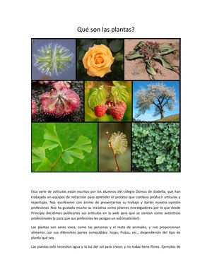 el dia de las plantas