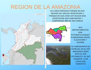 Region De La Amazonia