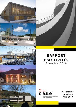 Rapport D'activités Caue  exercice 2018