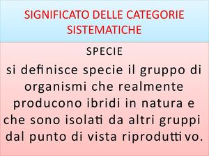Significato Delle Categorie Sistematiche