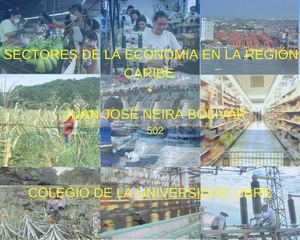 Sectores De La Economía En La Región Caribe