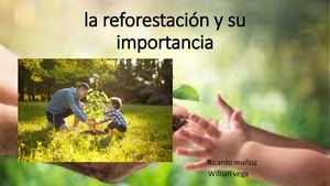 La Reforestación Y Su Importancia 1