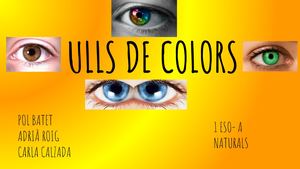 Biodiversitat A 03 Color Dels Ulls Adrià Roig 23224 Assignsubmission File Colors Dels Ulls