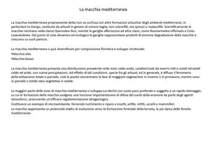 La Macchia Mediterranea