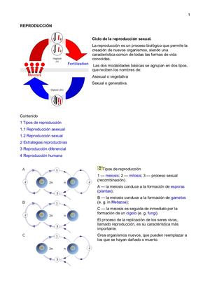 Reproduccion