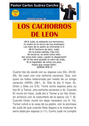 Cachorros De Leon
