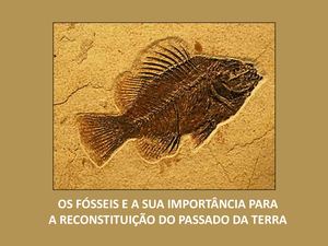 Os Fosseis