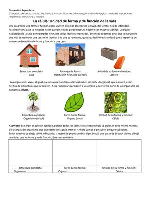 Guía de estudio de biología "Célula"