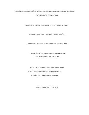 Cerebro, Mente Y Educación