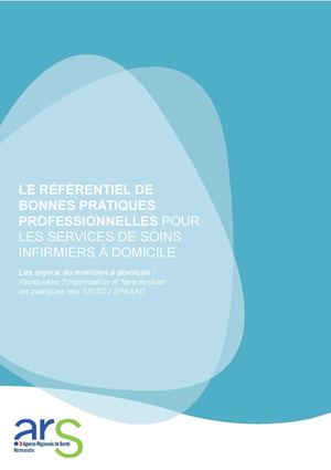 6. Référentiel Des Bonnes Pratiques En SSIAD ARS