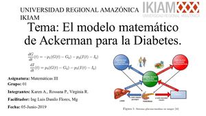 El Modelo Matemático De Ackerman Para La Diabetes