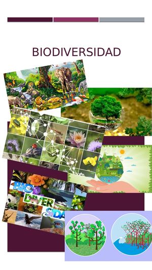 Biodiversidad
