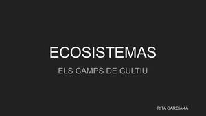 ECOSISTEMA CAMP DE CULTIU