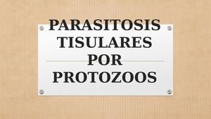 Parasitosis Tisulares Por Protozoos
