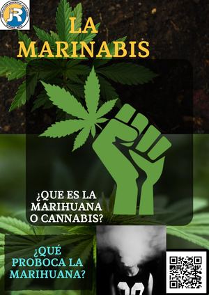 ¿Que Es La Marihuana O Cannabis