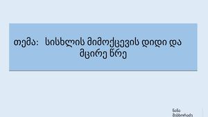 სისხლის მიმოქცევის სისტემა–2