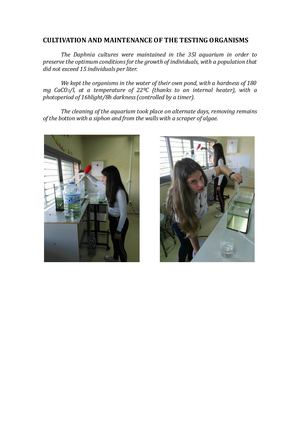 CULTIVATION AND MAINTENANCE OF THE TESTING ORGANISMS