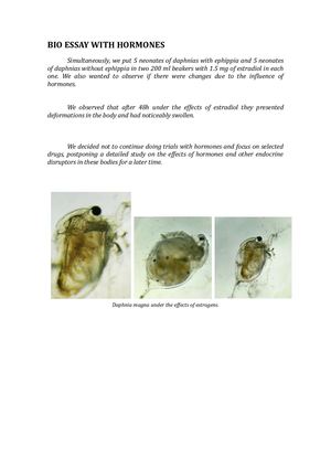 BIO ESSAY WITH HORMONES