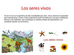 Los Seres Vivos